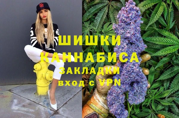 гидра Белокуриха