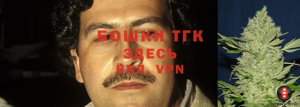 гидра Белокуриха