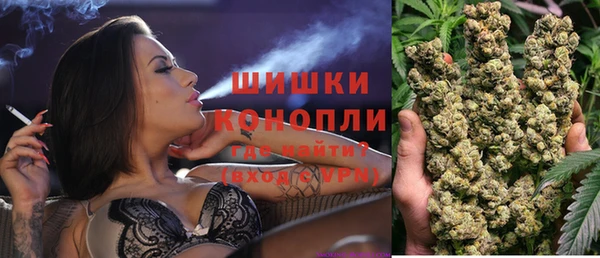 гидра Белокуриха