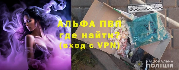 гидра Белокуриха