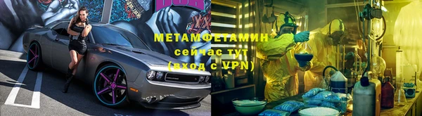 гидра Белокуриха