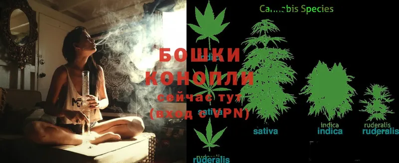 omg ссылка  Вяземский  Шишки марихуана Bruce Banner 